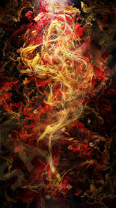 'Beauty of Confusion' 34 x 60 Archival Metal Limited Edition Fine Art Print