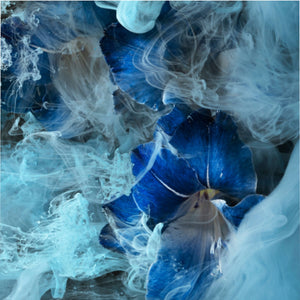 Queen Duvet Cover  - The Exhale Collection - Unique Art Comforter Cover