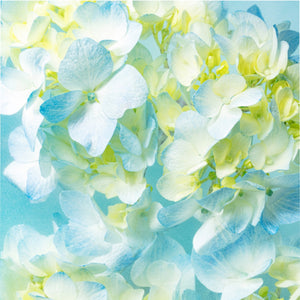 Queen Duvet Cover  - The Floral Impressions Collection - Unique Art Comforter Cover