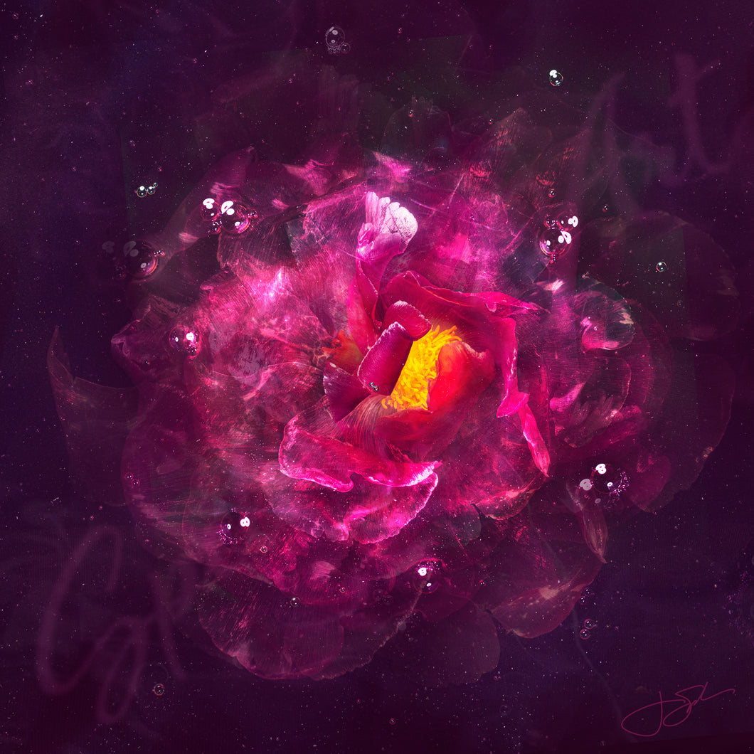 'Mantra' Limited Edition Fine Art Print