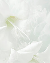 Load image into Gallery viewer, Art Print - Limited Edition &#39;Being&#39; - Contemporary Art