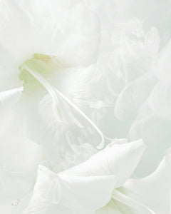 Art Print - Limited Edition 'Being' - Contemporary Art