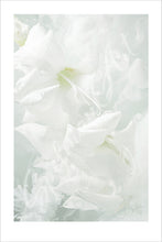 Load image into Gallery viewer, Art Print - Limited Edition &#39;Being&#39; - Contemporary Art