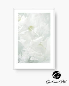 Art Print - Limited Edition 'Being' - Contemporary Art