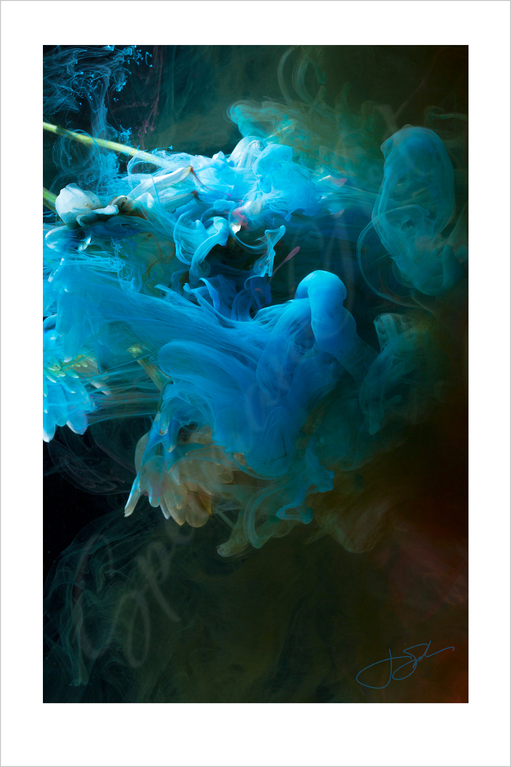 Art Print - Limited Edition 'Dream' - Contemporary Art