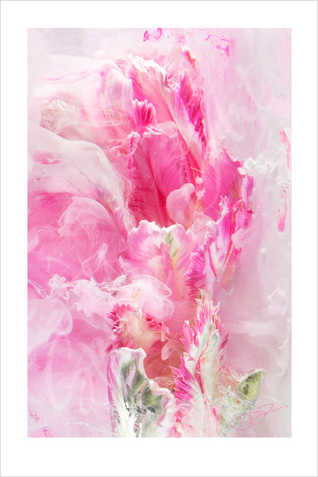 Art Print - Limited Edition 'Peony Dreams' - Contemporary Art