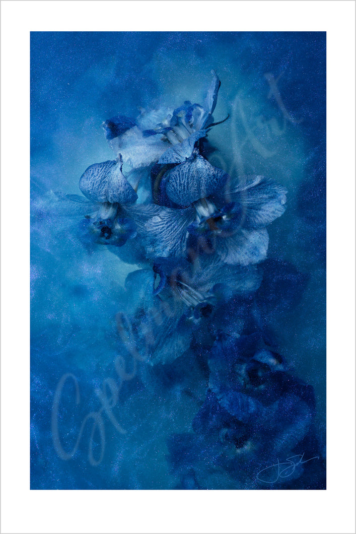 Art Print - Limited Edition 'Sink Into Blue' - Contemporary Art