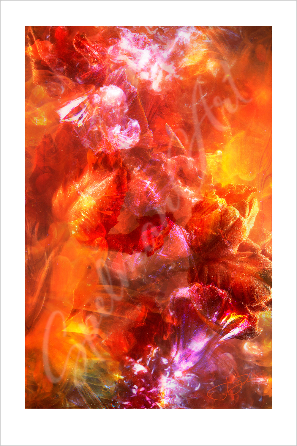Art Print - New Work - 'The Window' - Contemporary Art